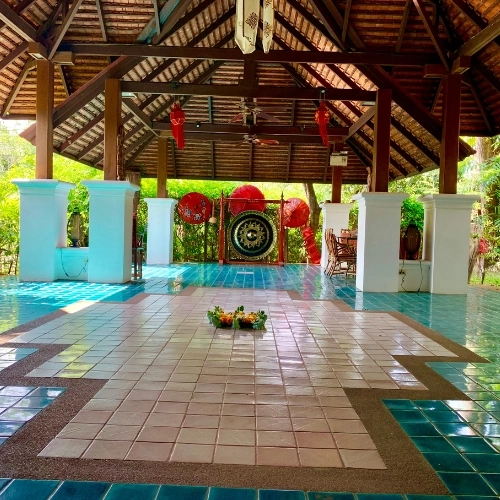 Stage de Yoga à venir